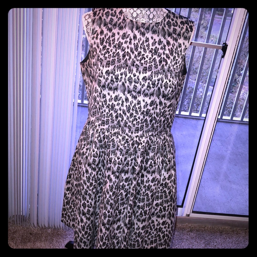 Fun Black and Grey Party Dress